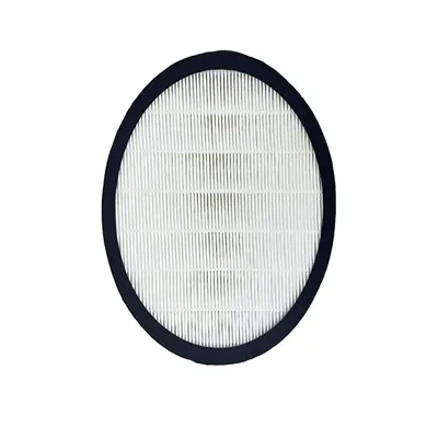 Poate filtrul Hepa H13 să elimine virușii?